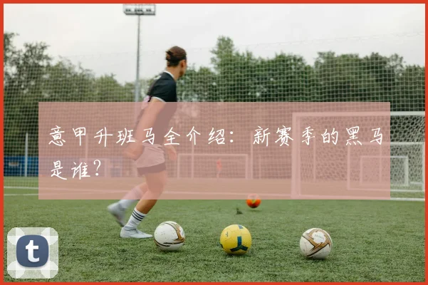 意甲升班马全介绍：新赛季的黑马是谁？