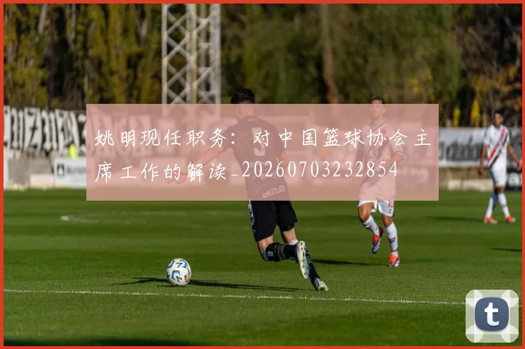姚明现任职务：对中国篮球协会主席工作的解读_20260703232854